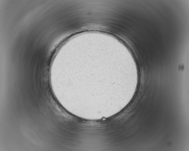 X0000110901115200907301600