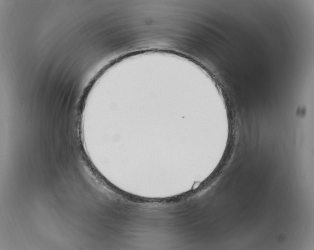 X0000110901118200907301600