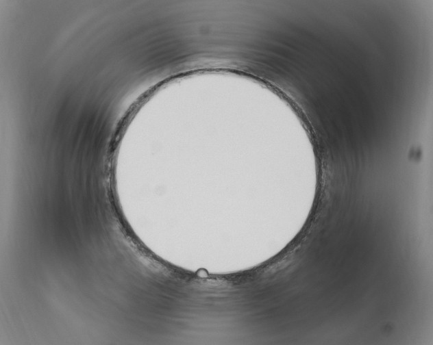 X0000110901119200907301600