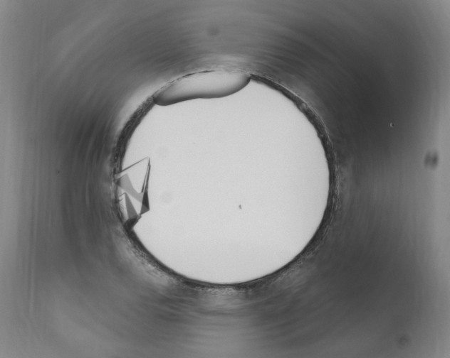 X0000110901120200907301600