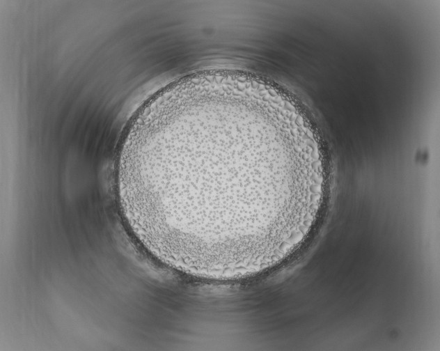 X0000110901121200907301600