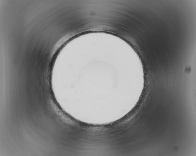 X0000110901122200907301600