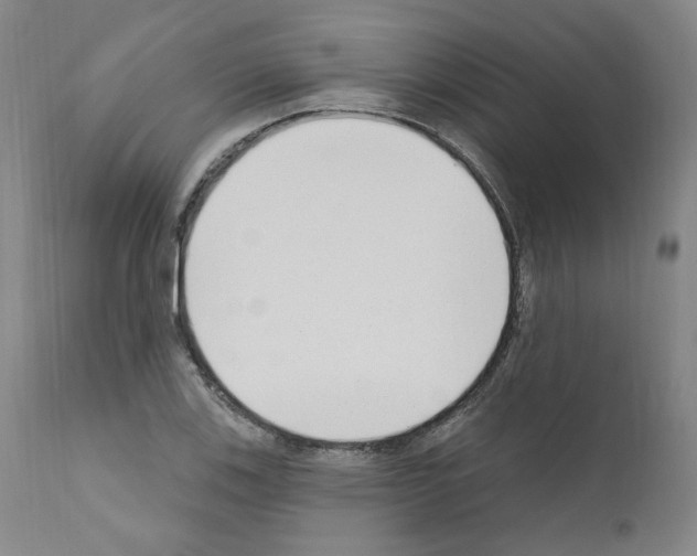 X0000110901123200907301600