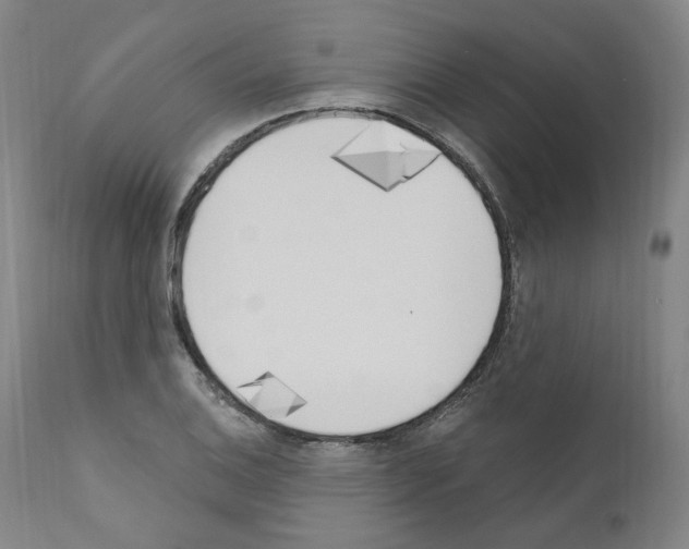 X0000110901124200907301600