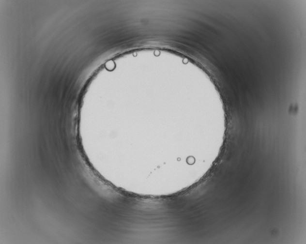 X0000110901126200907301600