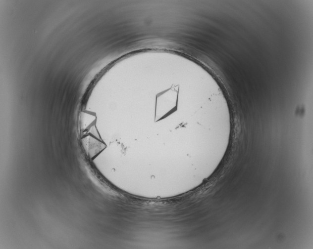 X0000110901128200907301600