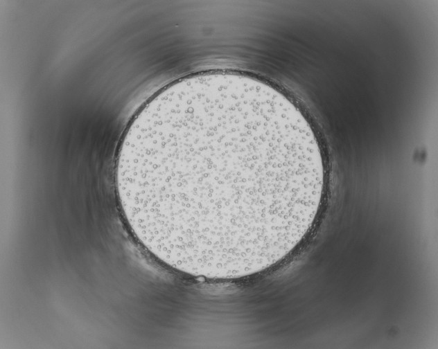 X0000110901129200907301600