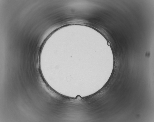 X0000110901131200907301600