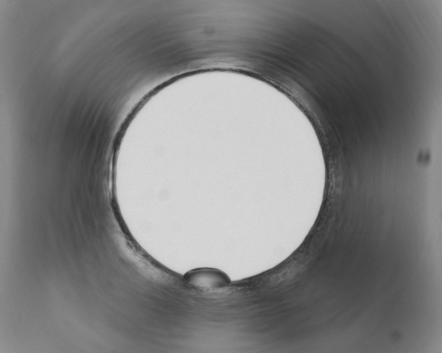 X0000110901132200907301600