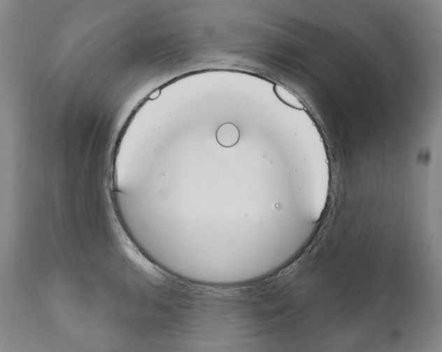 X0000110901136200907301600