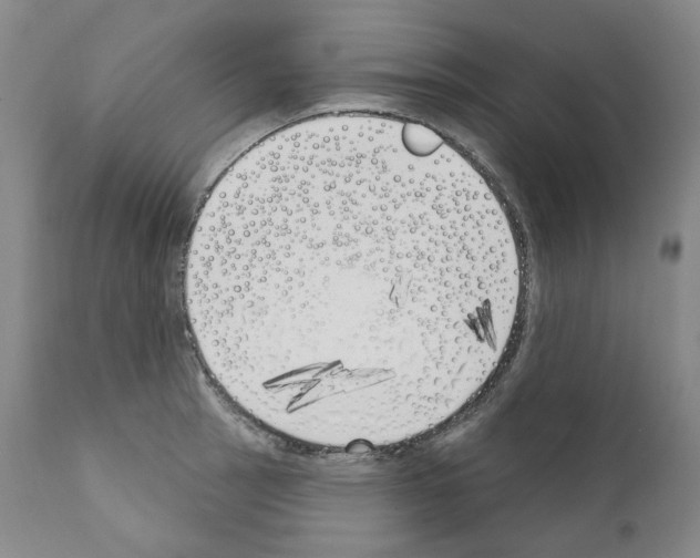 X0000110901137200907301600