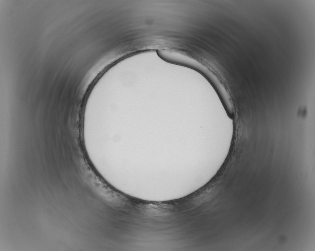 X0000110901138200907301600