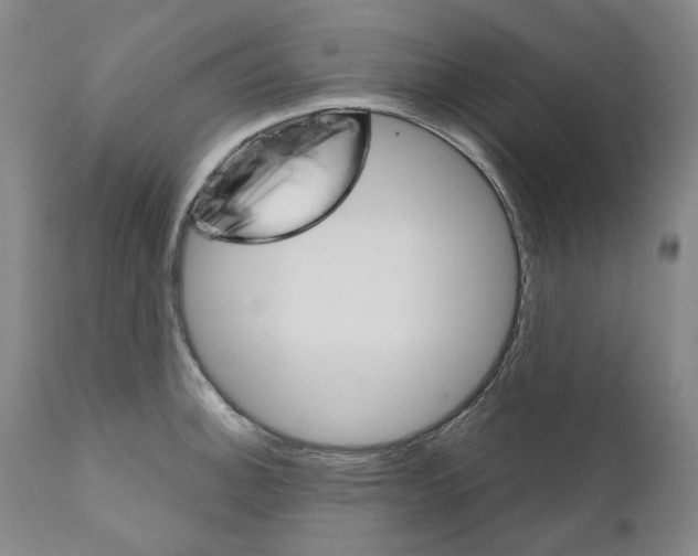 X0000110901140200907301600