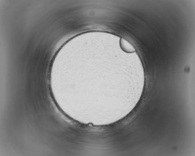 X0000110901141200907301600