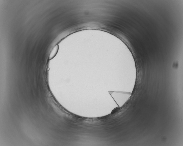 X0000110901146200907301600