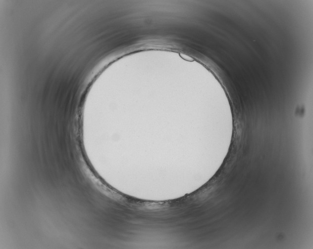 X0000110901147200907301600