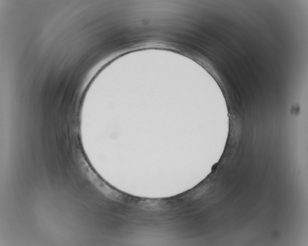 X0000110901148200907301601