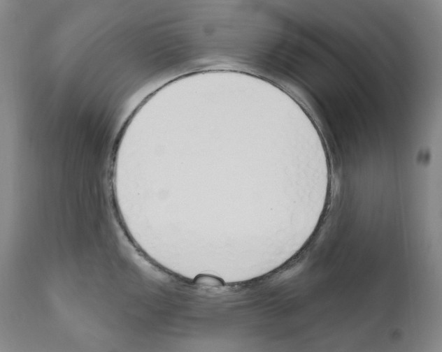 X0000110901149200907301601