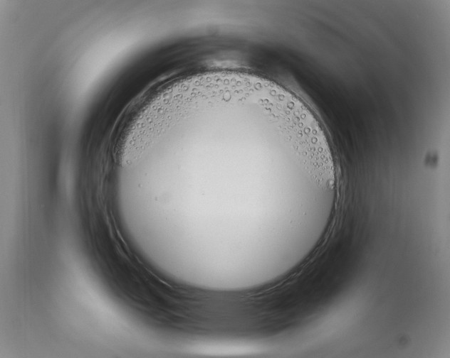 X0000110901151200907301601