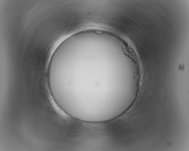 X0000110901152200907301601