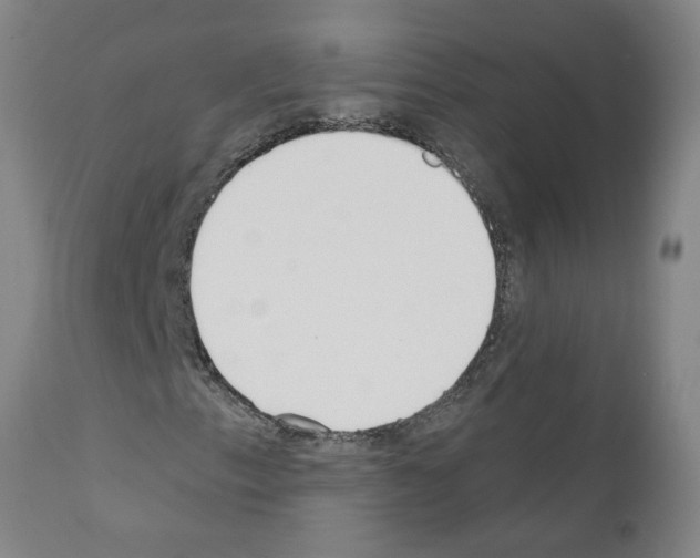 X0000110901153200907301600