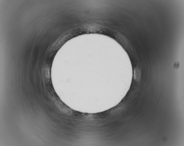 X0000110901155200907301600