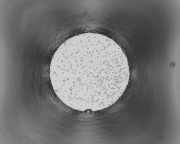 X0000110901156200907301600