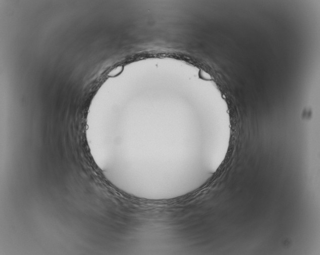 X0000110901157200907301600