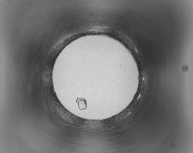 X0000110901158200907301600