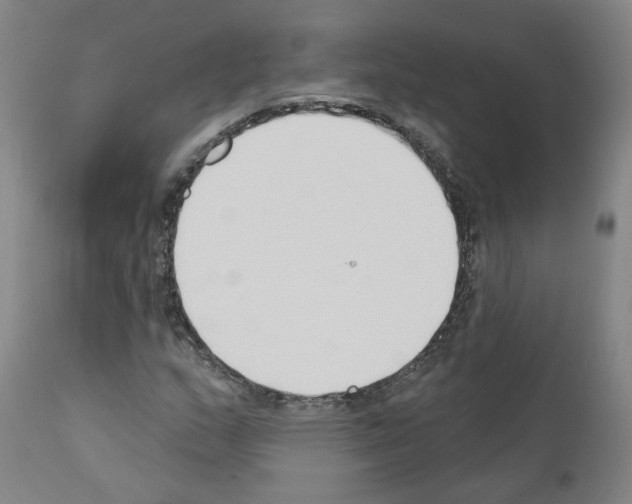 X0000110901159200907301600