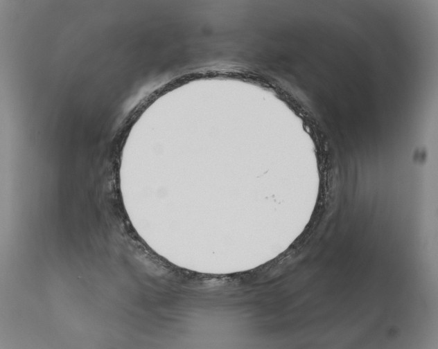 X0000110901160200907301600