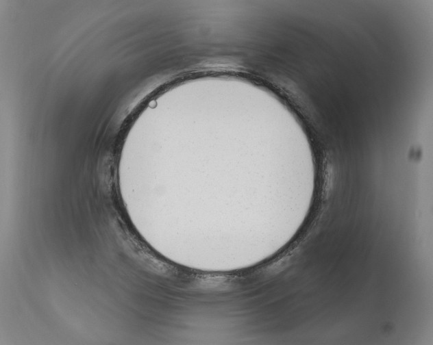 X0000110901162200907301600