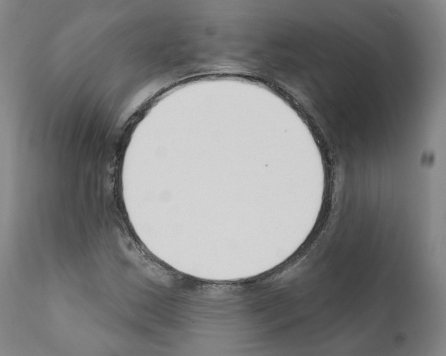 X0000110901163200907301600