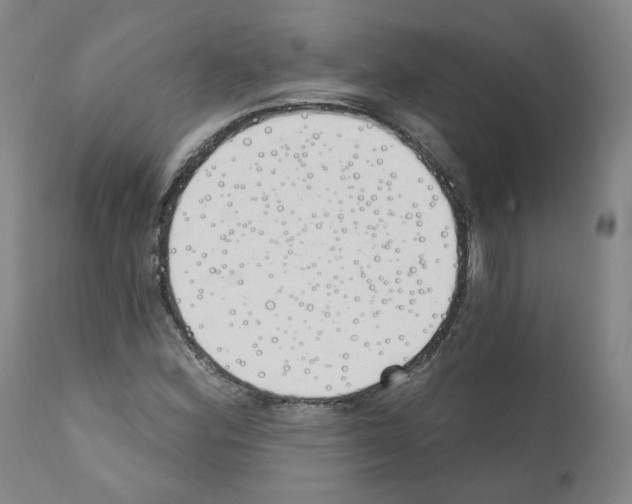 X0000110901164200907301600