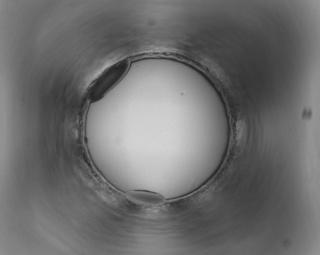 X0000110901165200907301600