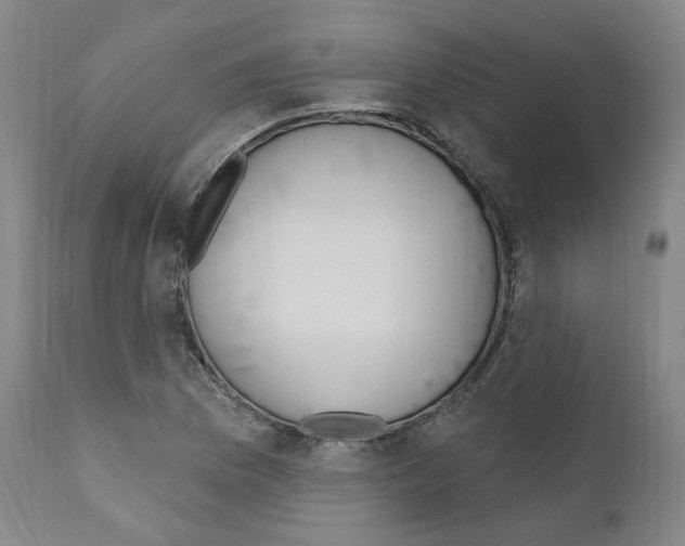 X0000110901169200907301600