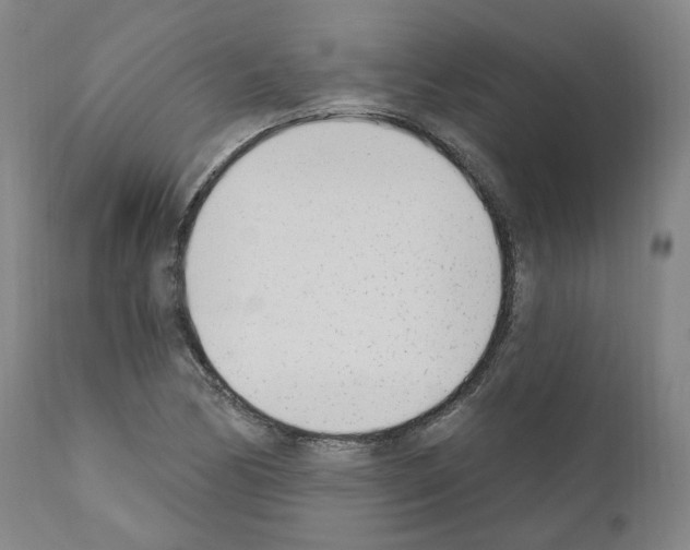 X0000110901170200907301600