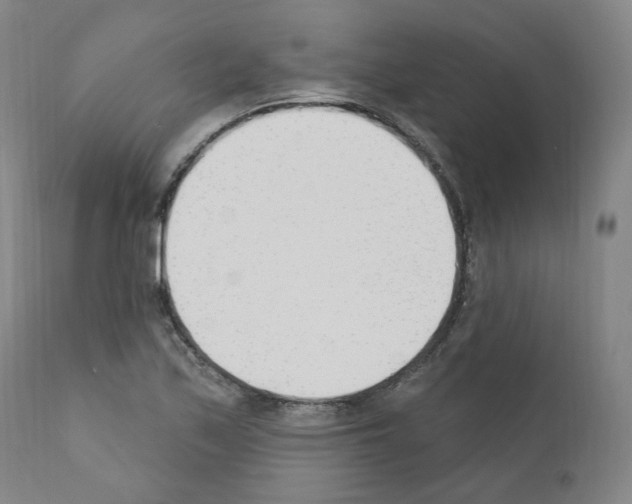 X0000110901171200907301600