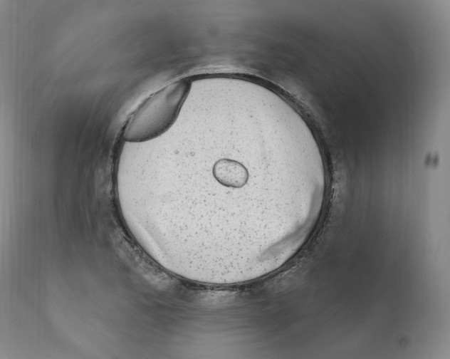 X0000110901173200907301600