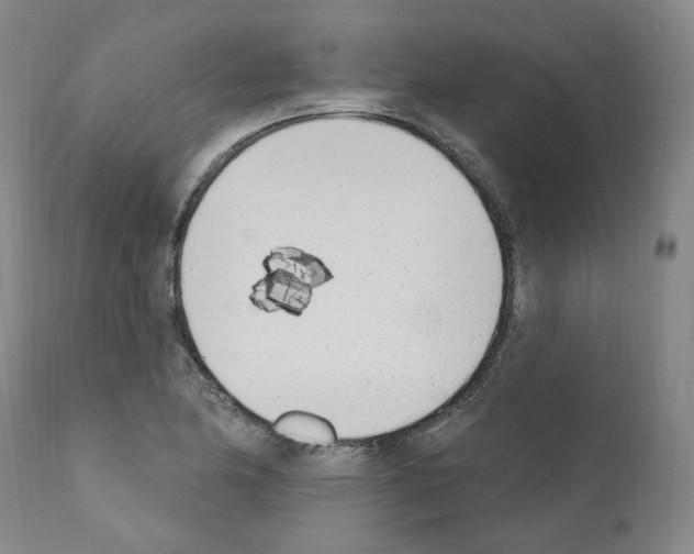 X0000110901174200907301600