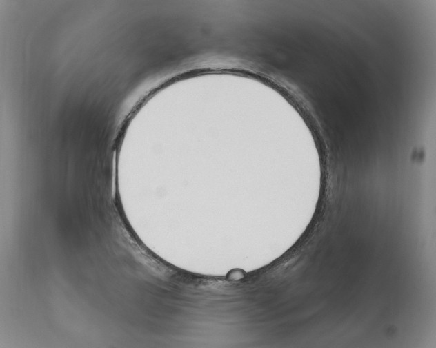 X0000110901175200907301600