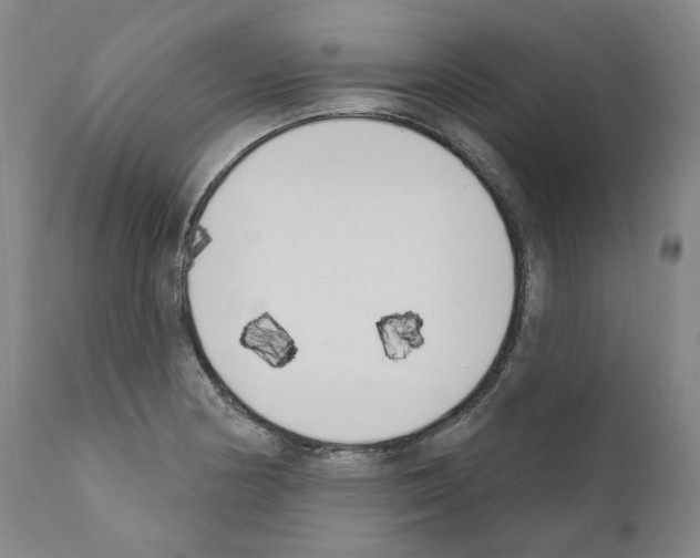 X0000110901178200907301559