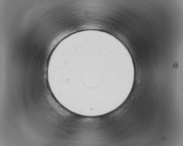 X0000110901179200907301559