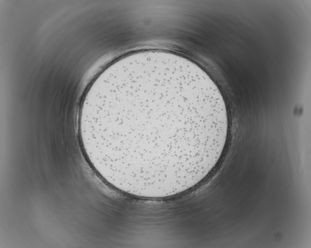 X0000110901180200907301559