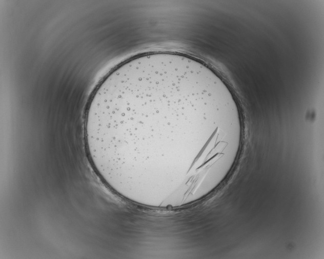 X0000110901184200907301559