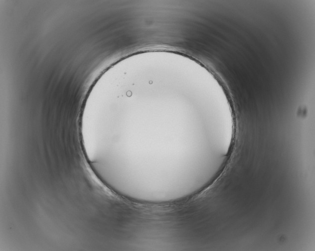 X0000110901189200907301559