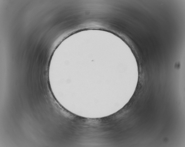 X0000110901191200907301559