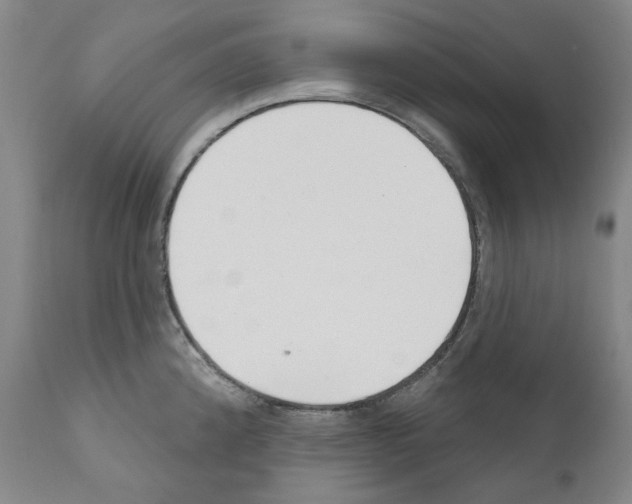 X0000110901192200907301559