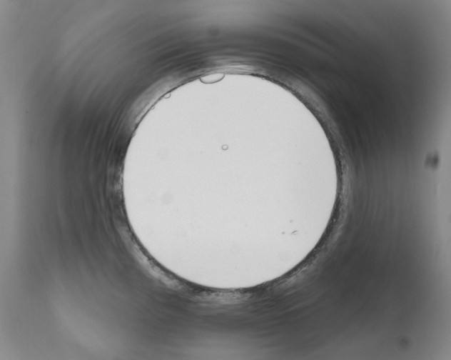 X0000110901193200907301559