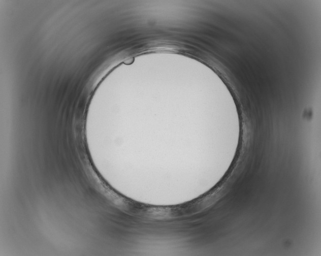 X0000110901194200907301559